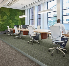 Forbo Tessera Nexus 3507 Share фото 2 | FLOORDEALER